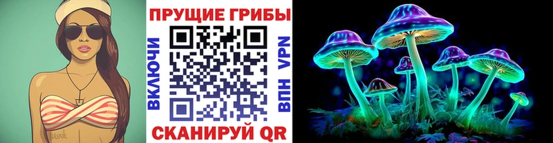 наркошоп  Кологрив  Псилоцибиновые грибы мицелий 