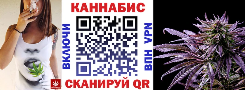 Бошки Шишки MAZAR Кологрив